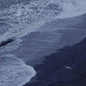 孕育的摇篮之卵免费下载
