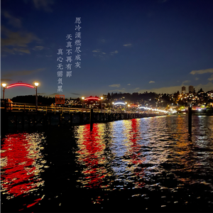 孕育的摇篮之卵免费下载
